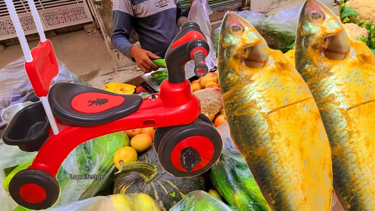 কতদিন পর ঠিক হলো মেয়ের ভাঙ্গা গাড়িটি? সাথে বাচ্চাটার পাতে পরল আজ ইলিশ। Lopalifestyle. daily vlog 