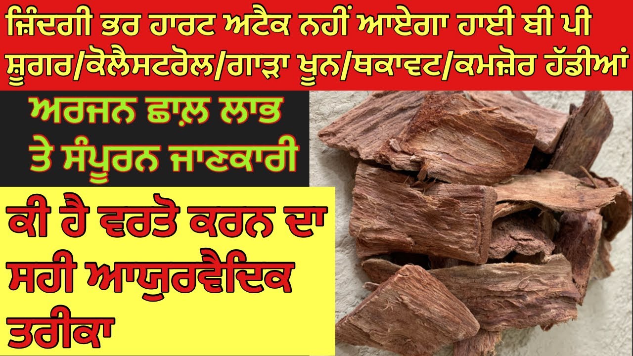 अर्जुन छाल के ये फ़ायदे आपने कभी नहीं सुने होंगे/ जानें सही विधी बनाये हार्ट को जवान