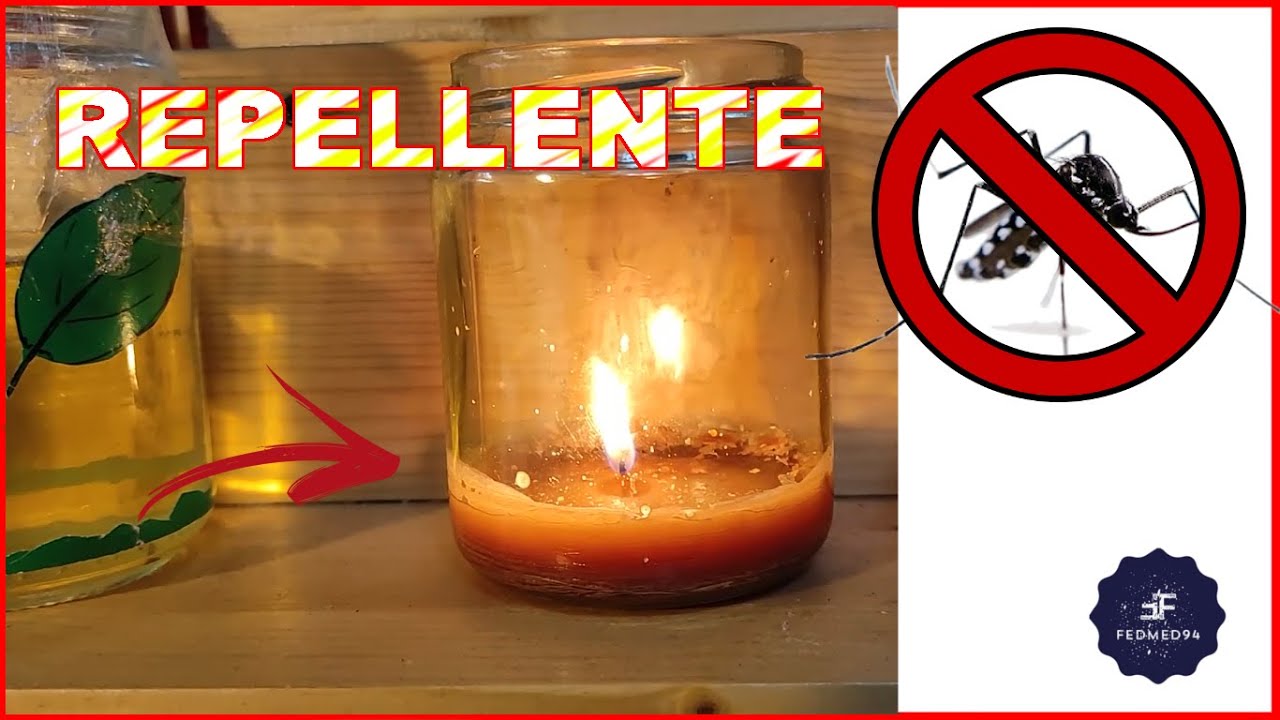 CANDELA ANTI ZANZARE FAI DA TE - Scienza Per Casa Ep.12