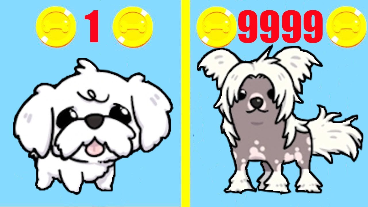Merge Dogs! MAX LEVEL DOGS EVOLUTION! Merge Dogs Level 9999?