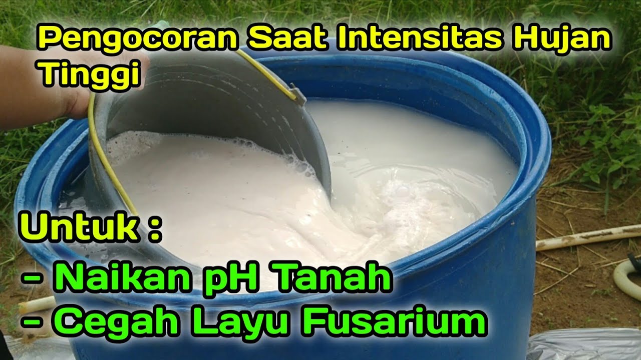 Pengocoran dolomit saat intensitas hujan tinggi