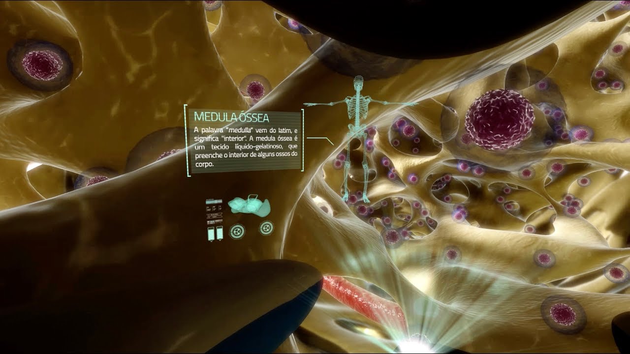 De onde surge o sangue? VR360
