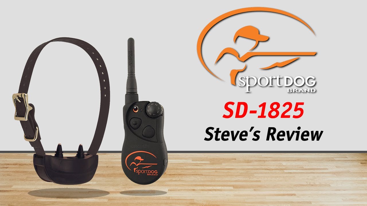 Steve's Reviews: SportDOG SD-1825