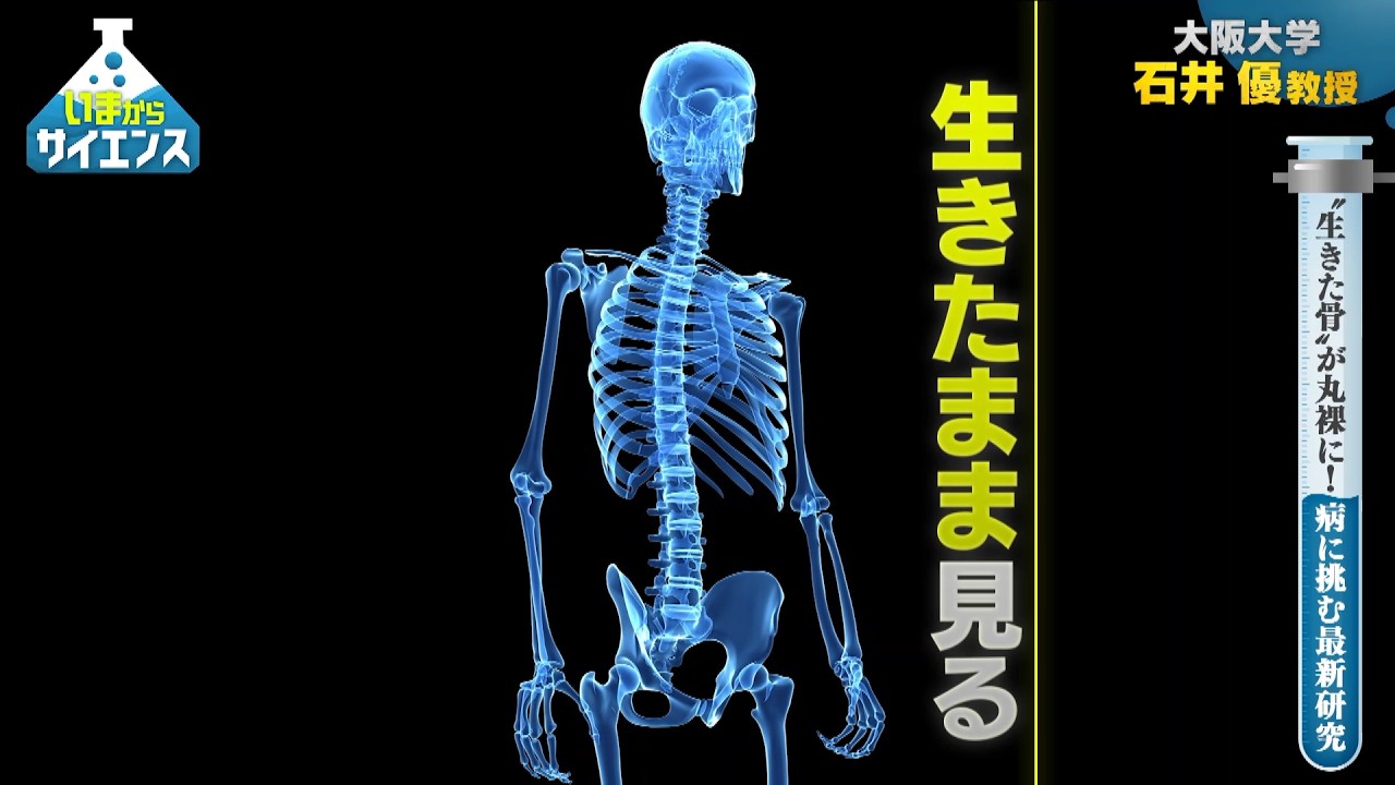 “生きた骨”が丸裸に！病に挑む最新研究 【いまからサイエンス】