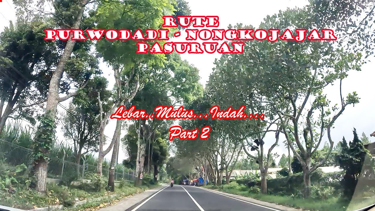 Jalan Purwodadi Nongkojajar Pasuruan Mulus Lebar dan Indah part2