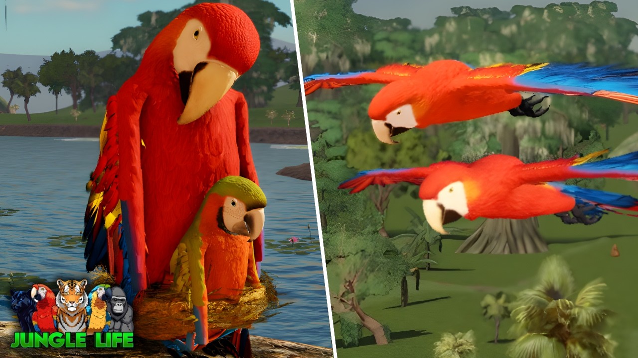 NEW Macaw Update in Jungle Life ⏐ ROBLOX 🦜🌿