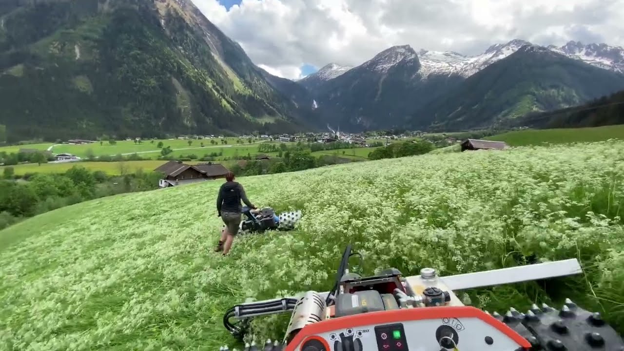 Erster Schnitt 2022 Ibex, Brielmaier, Antonio Carraro und Reform Muli