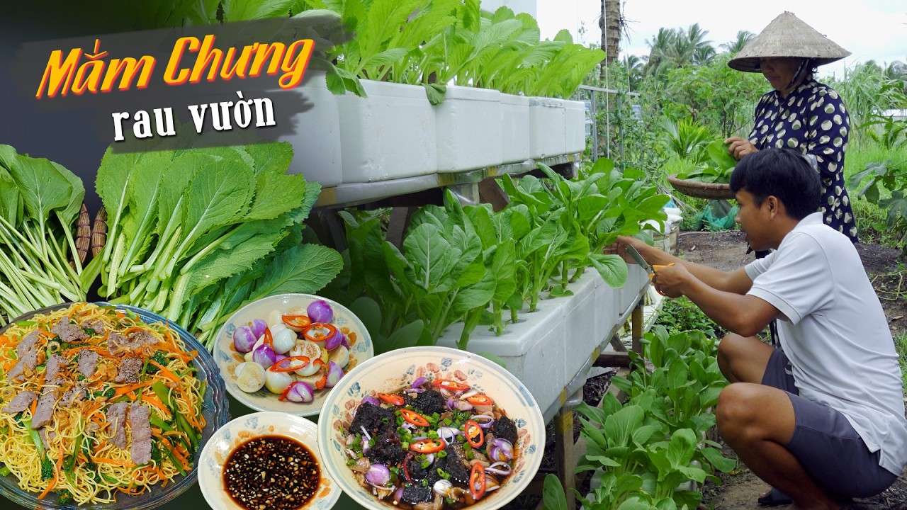 Cô Ba Miền Tây ✅ Mắm cá lóc chưng + rau vườn ngày mưa bão