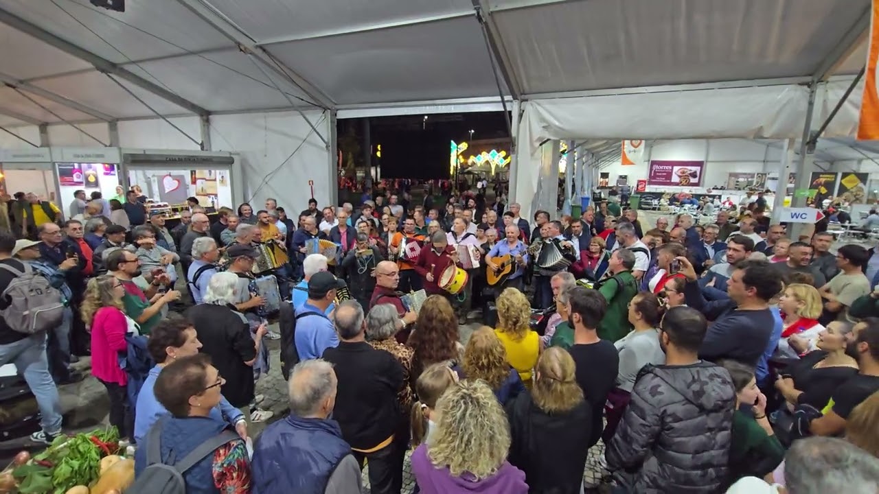 🍇 Festa das Colheitas em Vila Verde I 2024