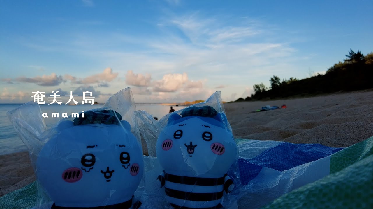 【vlog】奄美大島withちいかわ