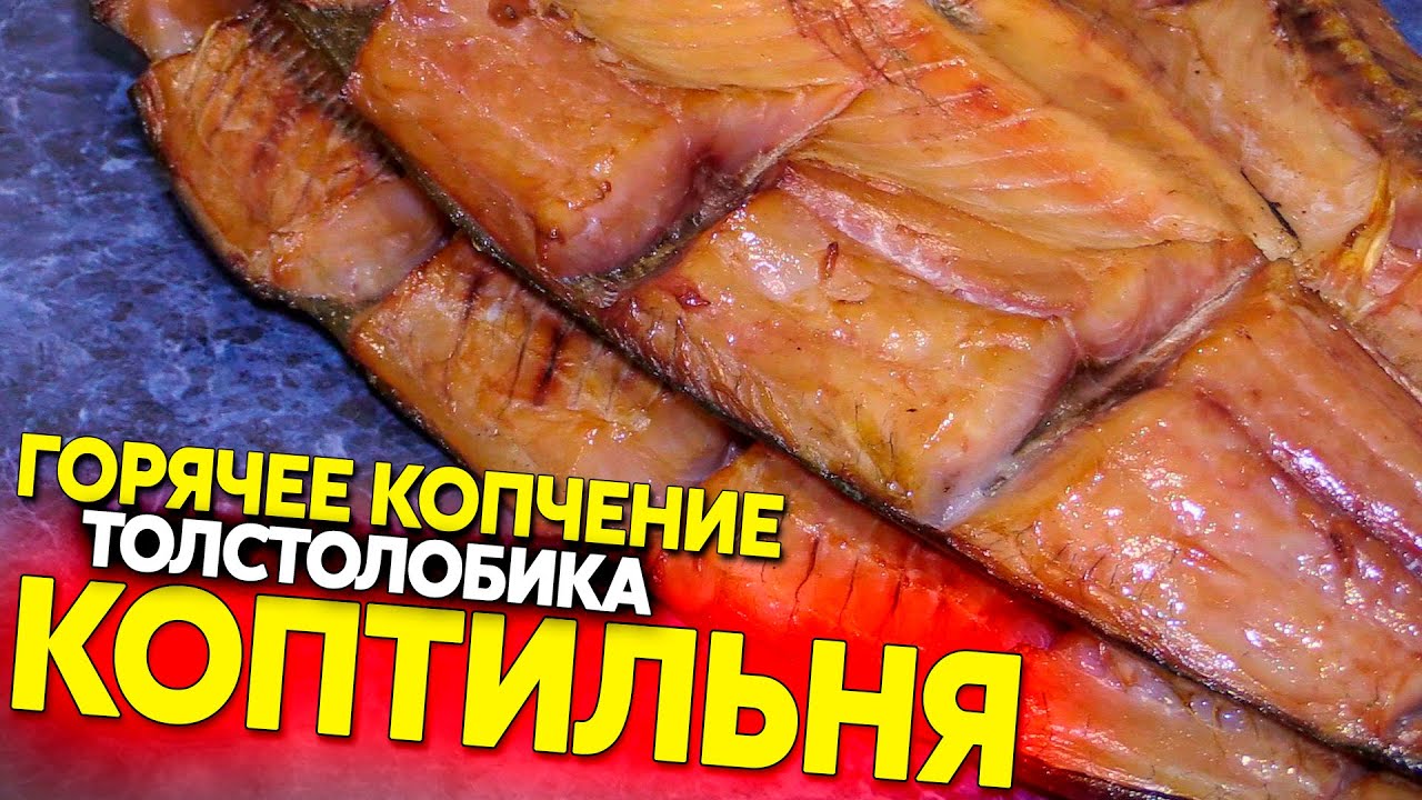 Копченый толстолобик, домашнее полугорячее копчение (60-80 градусов)