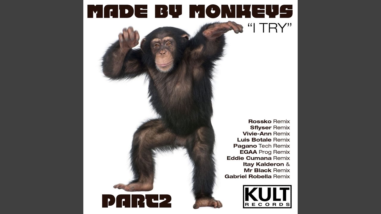 I Try (Luis Botala House Remix Made By monkeys re-edit)