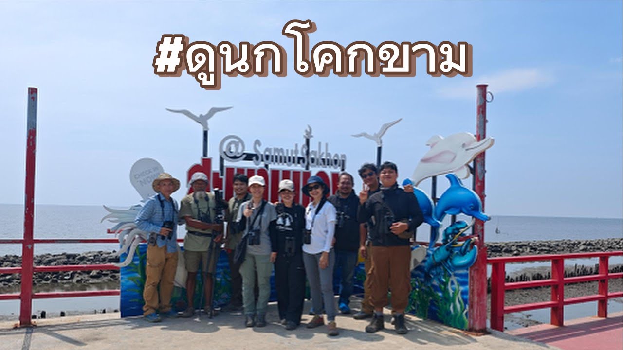 แหล่งดูนกใกล้กรุง ต.โคกขาม จ.สมุทรสาคร กับ Outdoorvision