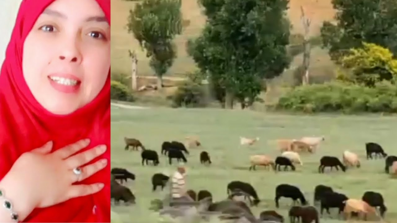 روتين السفر جولة في باجة وسوقها خيرات ربي نهار في الطبيعة