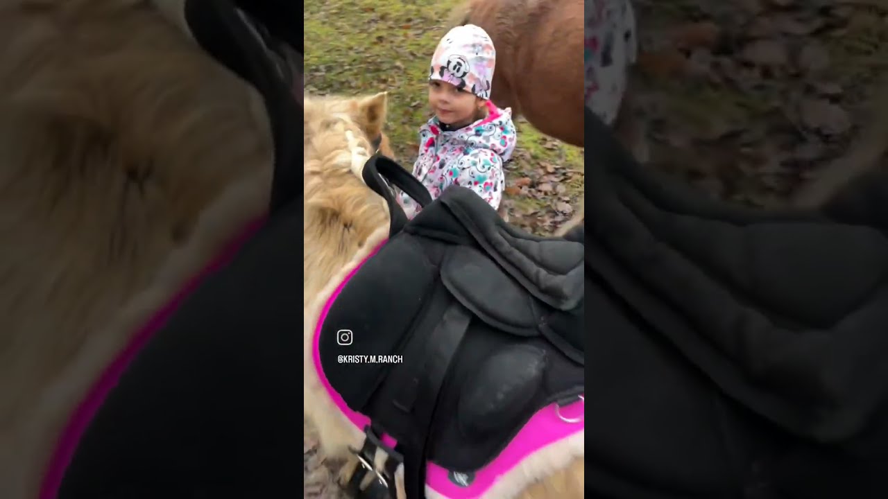 Zkouška nového sedýlka ORX Pony Klasik ❤️
