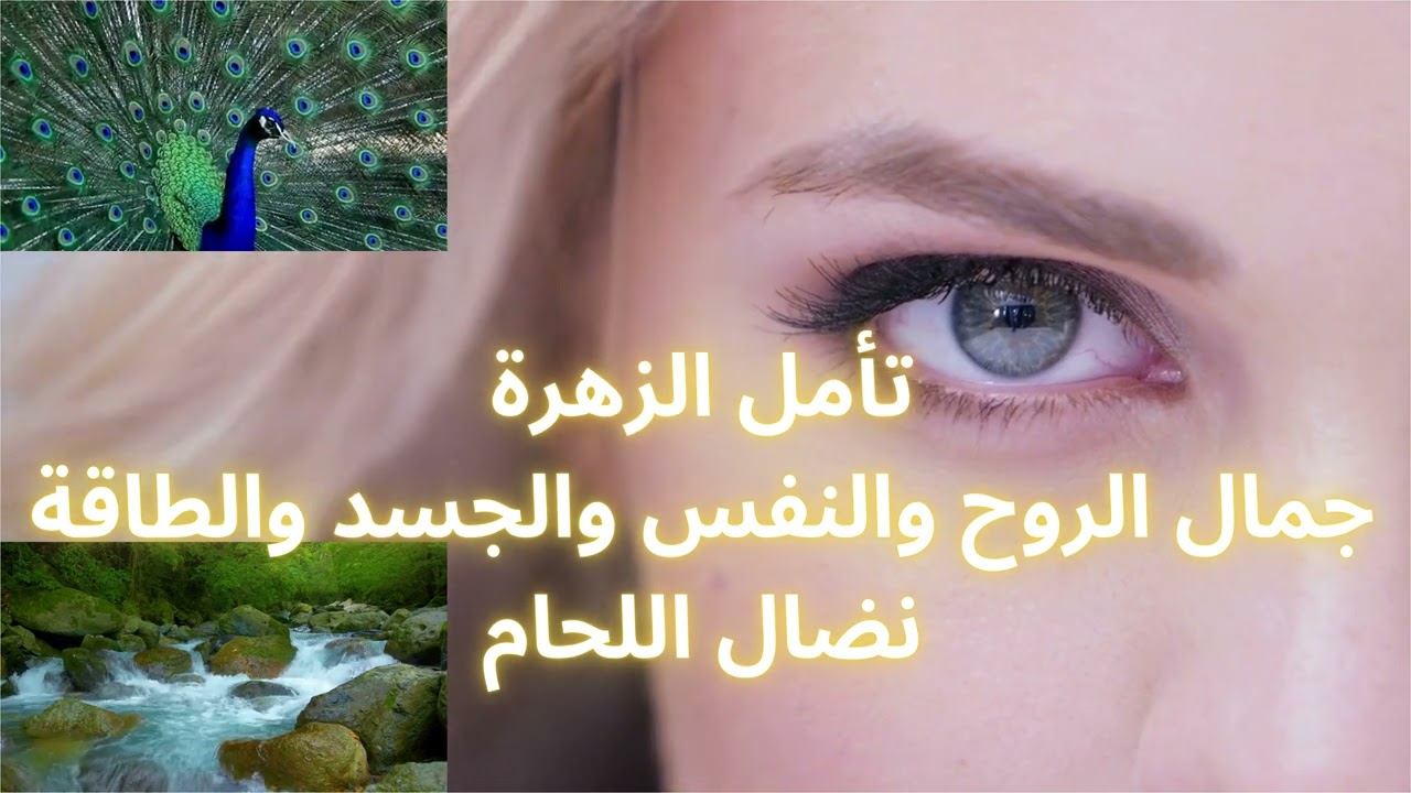 تأمل الزهرة جمال الروح والنفس والجسد والطاقة