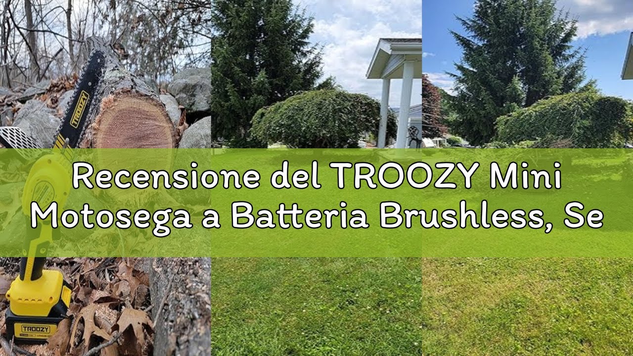 Recensione del TROOZY Mini Motosega a Batteria Brushless, Sega a Batteria per Potatura 2×3000 mAh fi