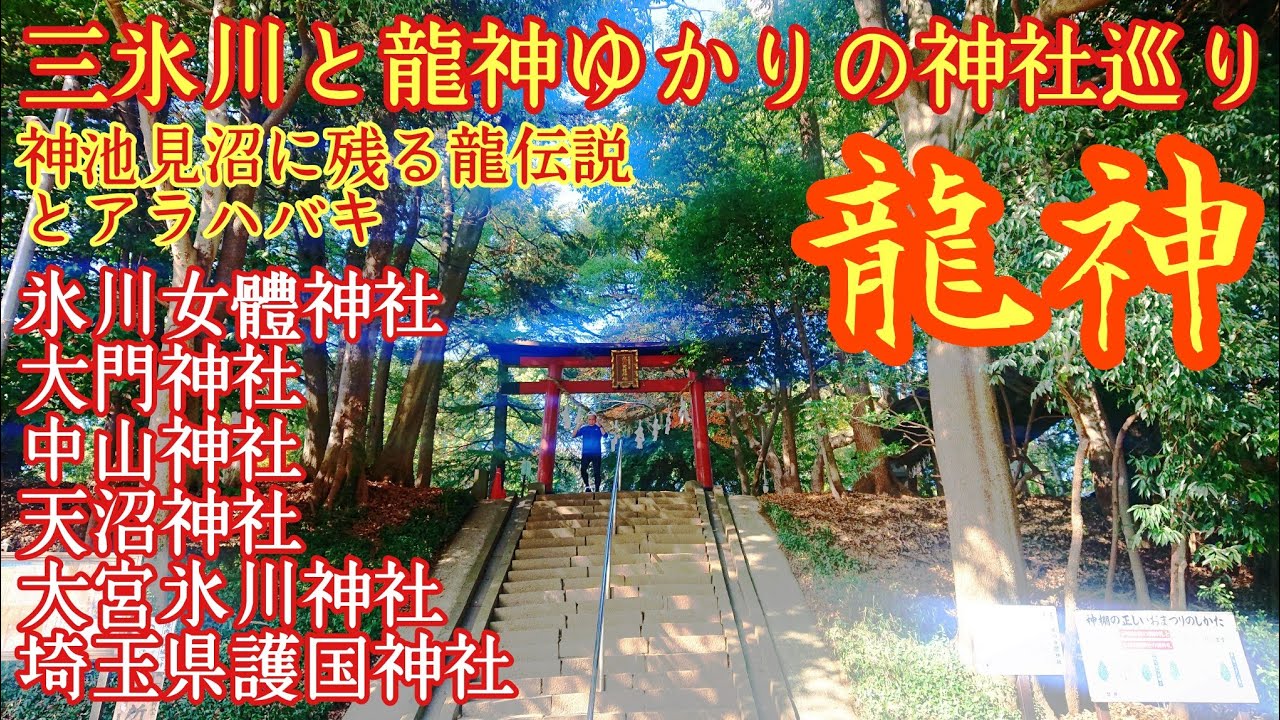 【龍神】 埼玉 氷川三社 大門神社『見沼の伝説‼龍神ゆかりの神社巡り』天沼神社【まとめ】