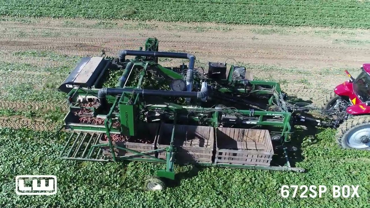 LOCKWOOD Sweet Potato Harvesters