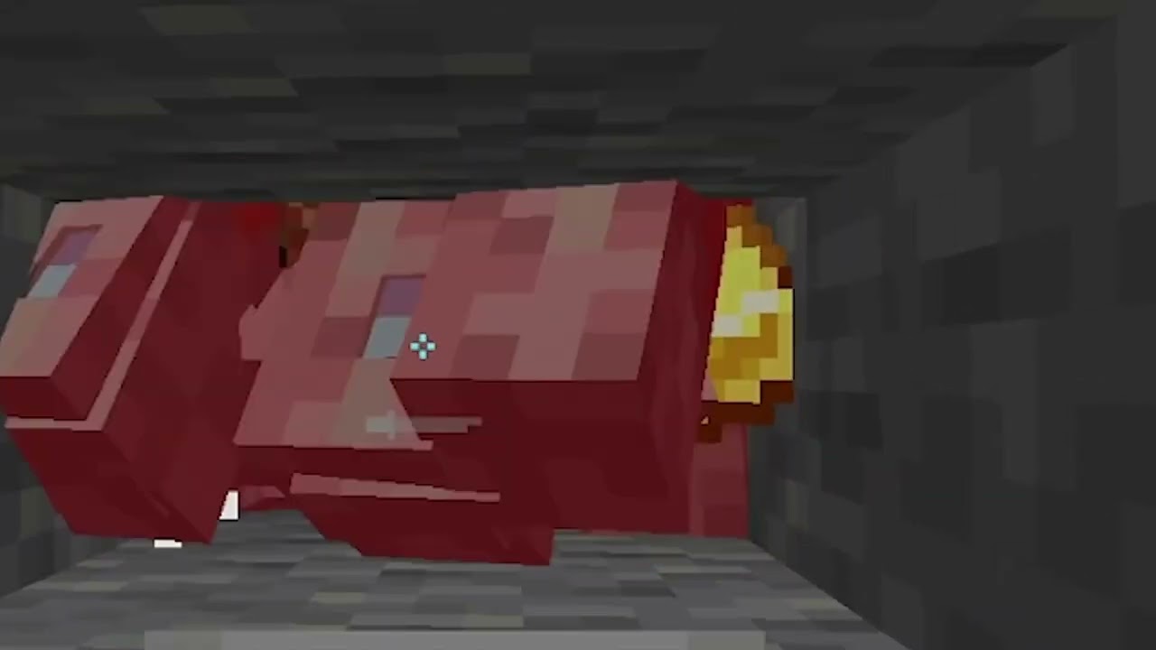 BastiGHG bringt den Server zum Crashen...😂
