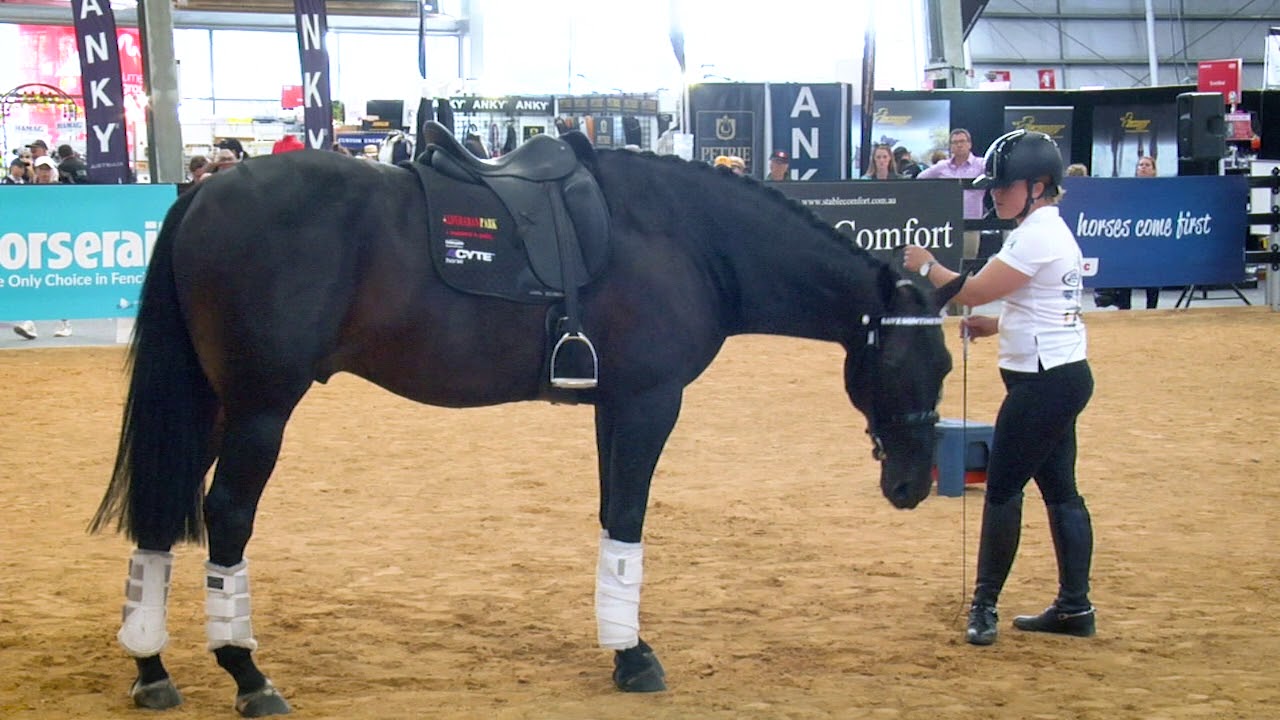 Video 5 - Part 2  Equitana Demonstration
