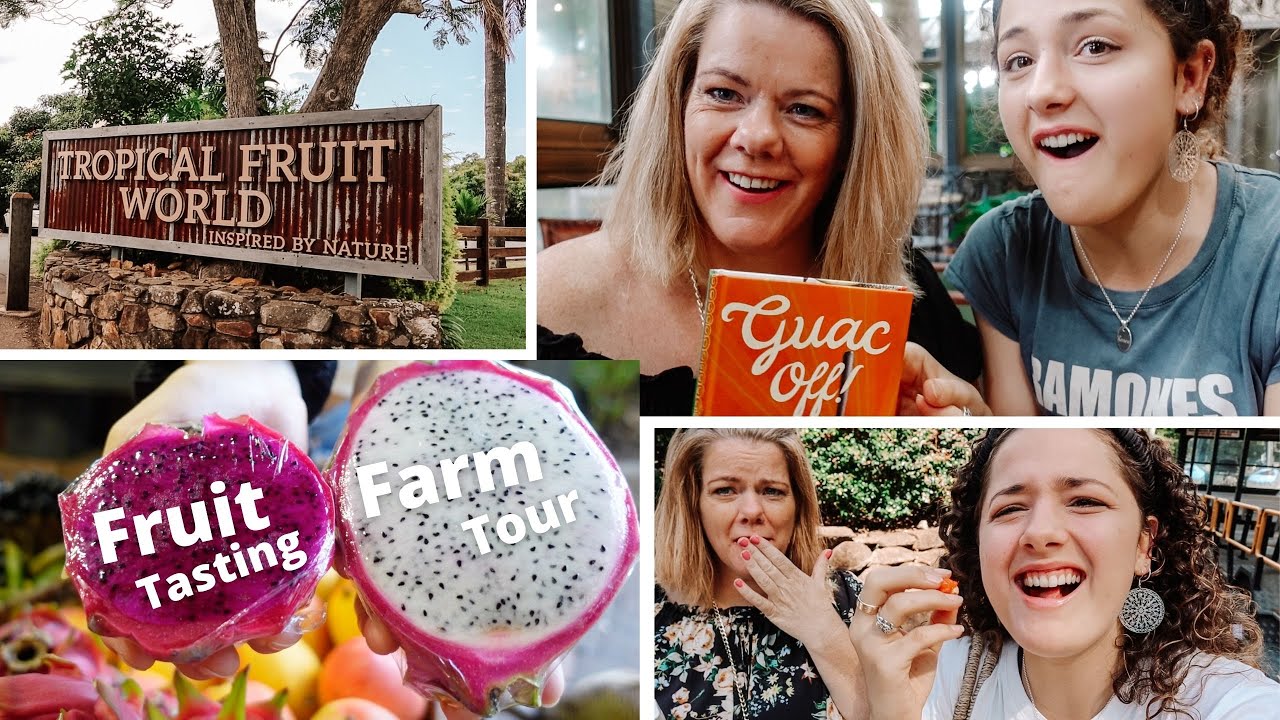 TROPICAL FRUIT WORLD VLOG! | Fruit Tasting, Farm Tour, Eating Bush Tucker | Gold Coast Australia