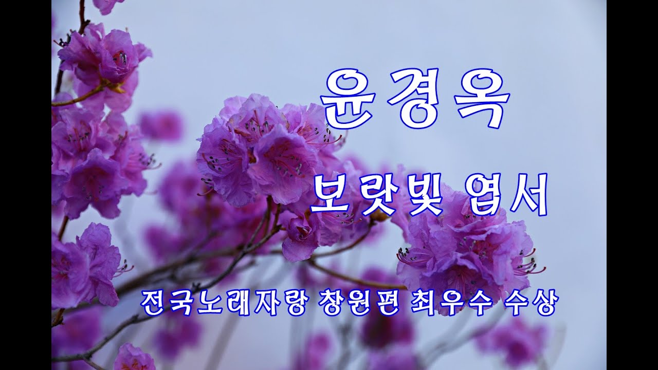 (윤경옥) 보랏빛 엽서