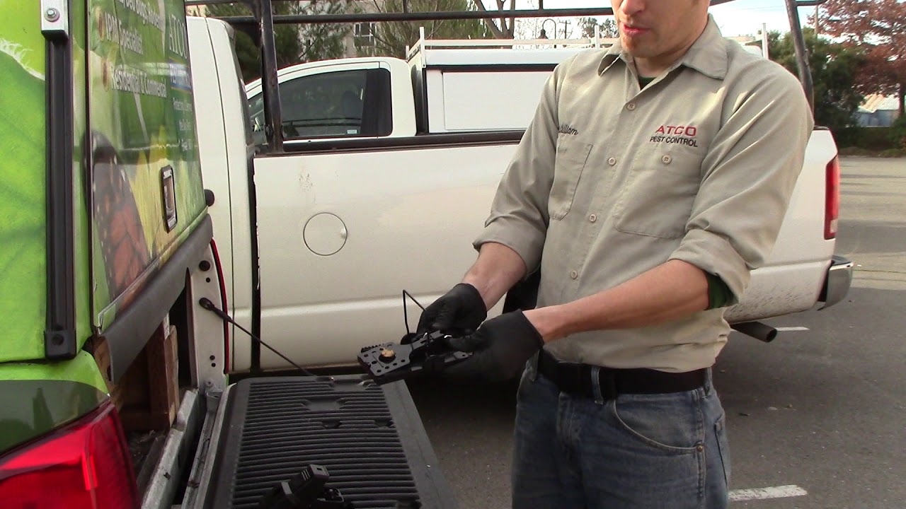 Kill Rats 3 Different Ways - Atco Pest Control
