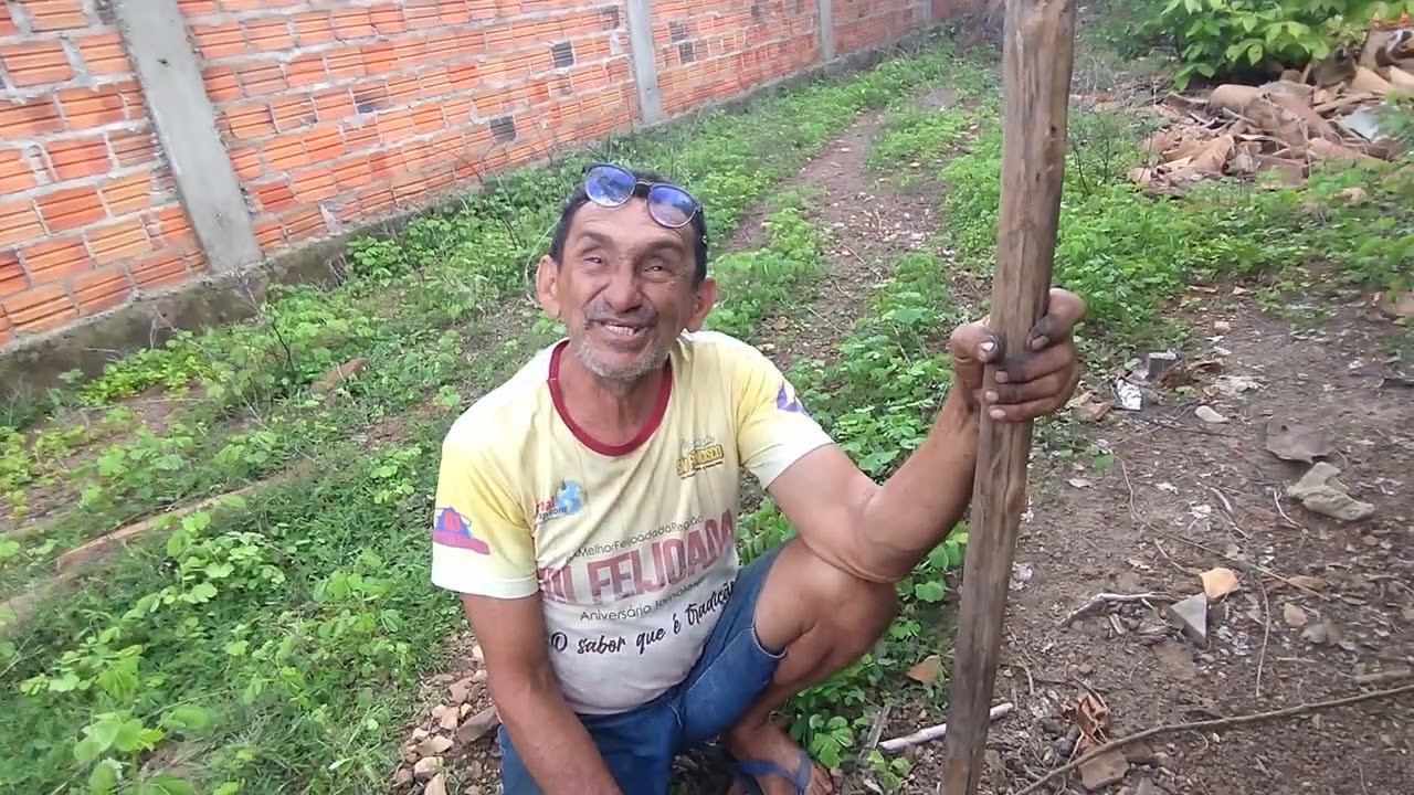 CARA SECA ME DEU AS PEDRAS DO QUINTAL POREM PEDRAS DA ''PRE HISTÓRIA''