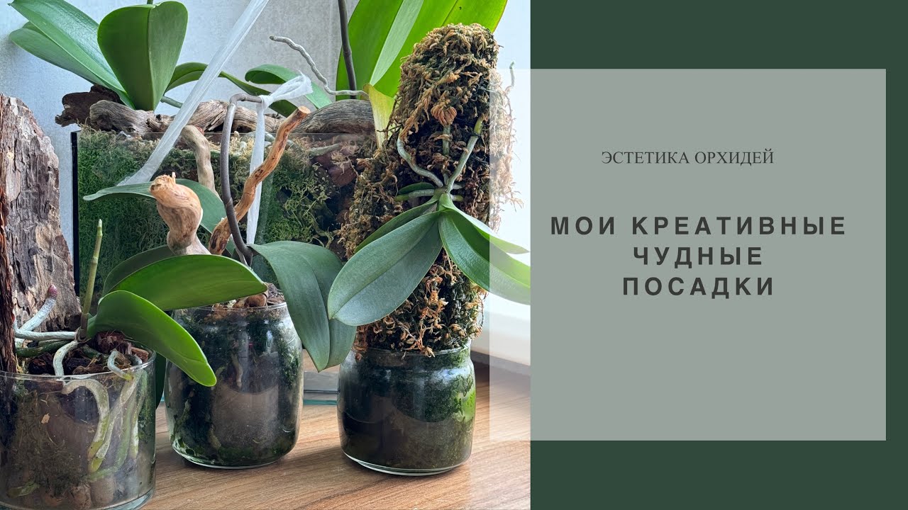 Недоблоки, коряги и всякие нестандартности посадок😀