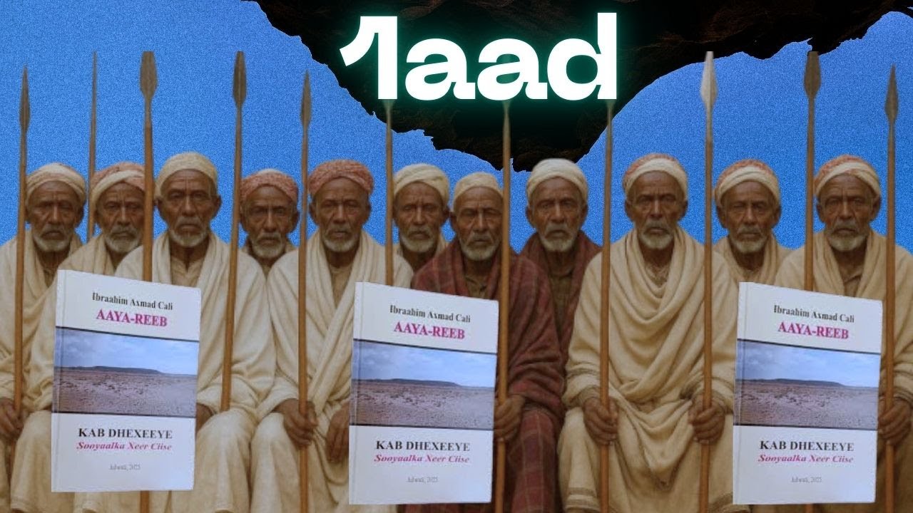 Dumarku waa 15Nooc Xeerka ciise Arrimaha Yaabka leh ee ku Yaal 1aad