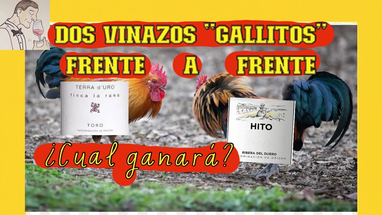 (248) Comparamos dos VINAZOS de 93 puntos a 12€, que has de comprar ya, CATA A CIEGAS !!!