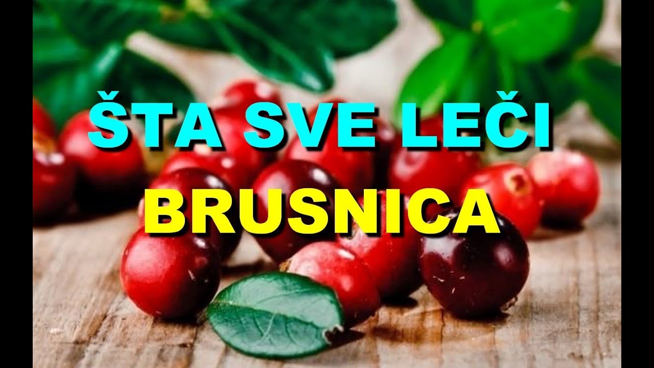 &Scaron;TA SVE LEČI BRUSNICA