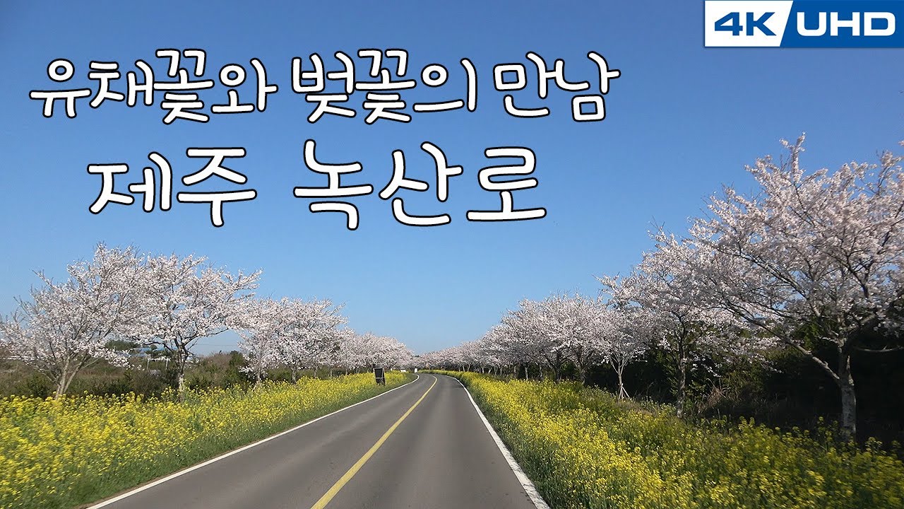 한국의길77. 