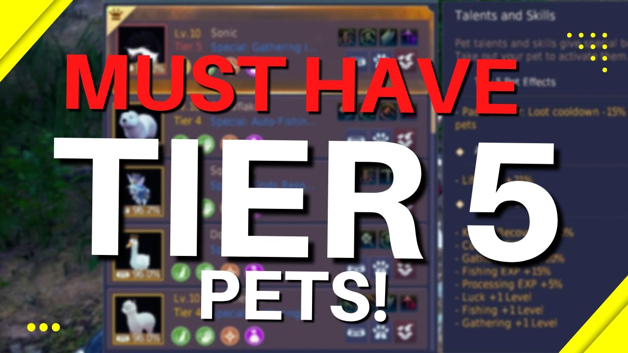 Tier 5 Pet Upgrade Guide for Black Desert Online