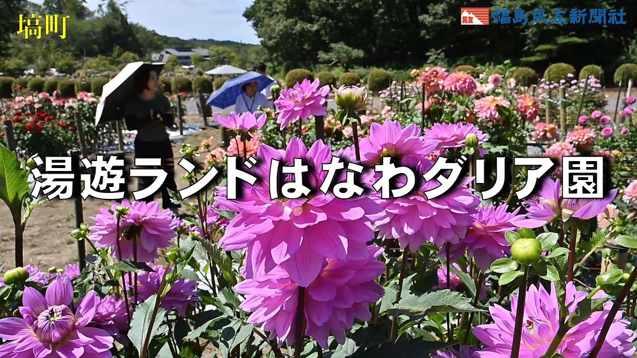 湯遊ランドはなわダリア園