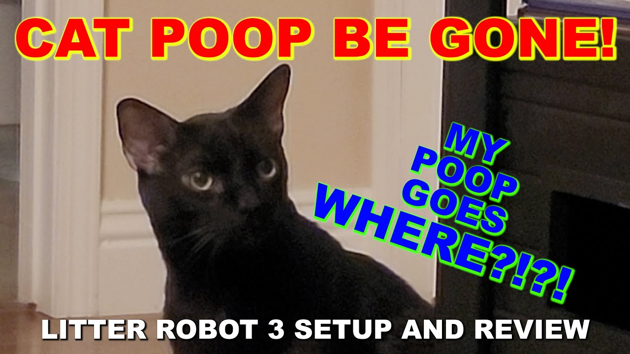 Litter Robot 3 Setup and Review