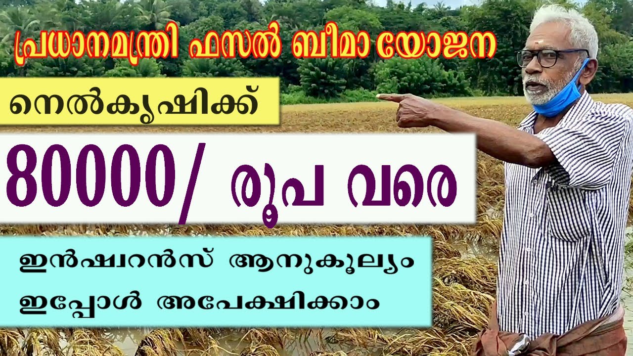 How to Apply PMFBY (Pradhan Mantri Fasal Bima Yojana} Insurance Scheme | Malayalam | Krishi | 2021
