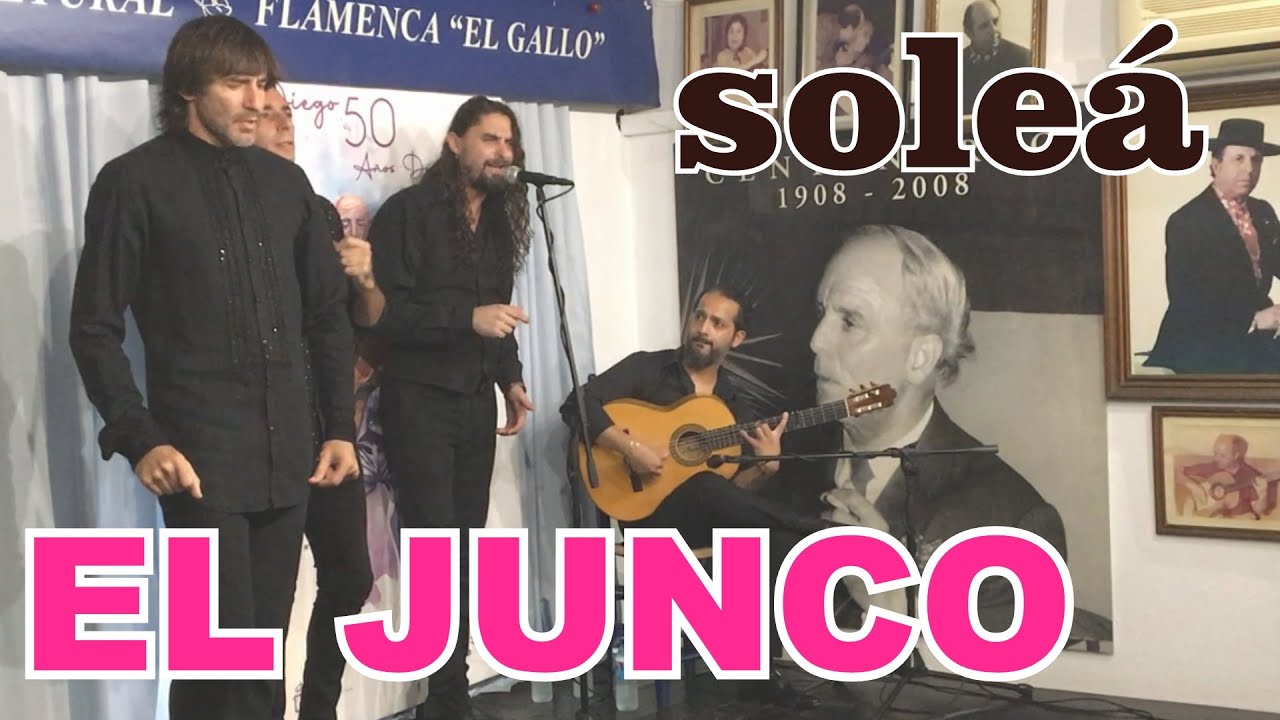 EL JUNCO, EL MATI, RAMON AMADOR Y EL ROBER por soleá