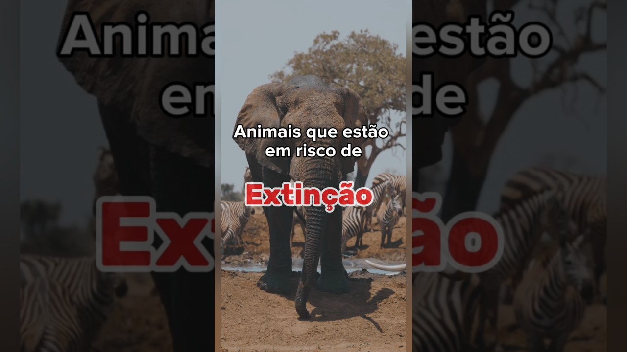 Animais que est&atilde;o em extin&ccedil;&atilde;o #curiosidades #animais