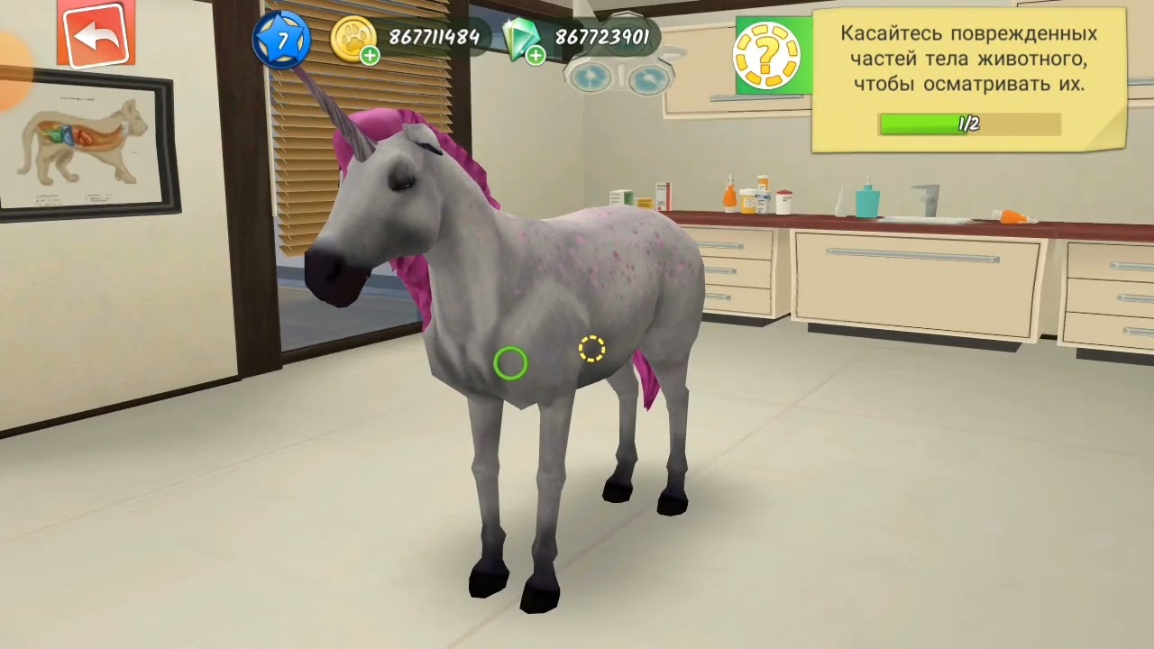 играем в Pet World|клиника для животных