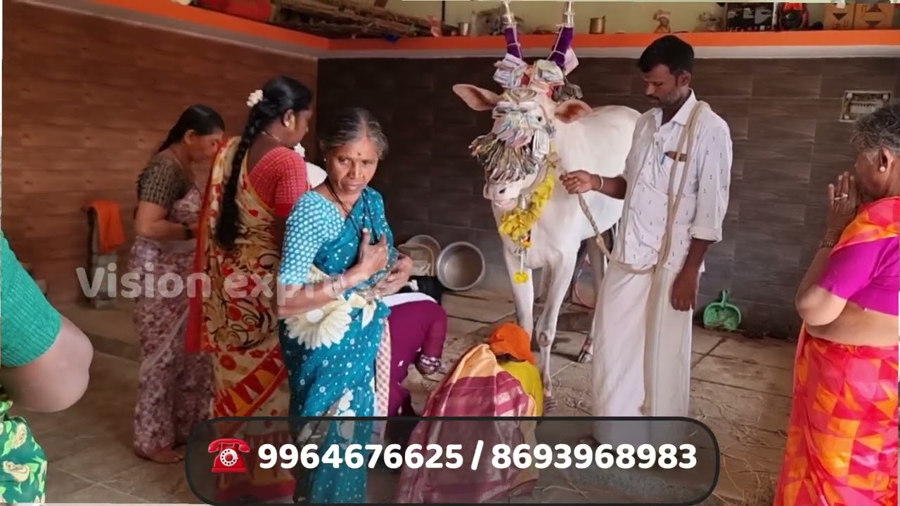 ಪವಾಡ ಬಸಪ್ಪನಿಂದ ಎಂತಹ ಕಷ್ಟವಿದ್ದರು ಮಾಯವಾಗುತ್ತದೆ || Chamundeshwari Temple Basappa