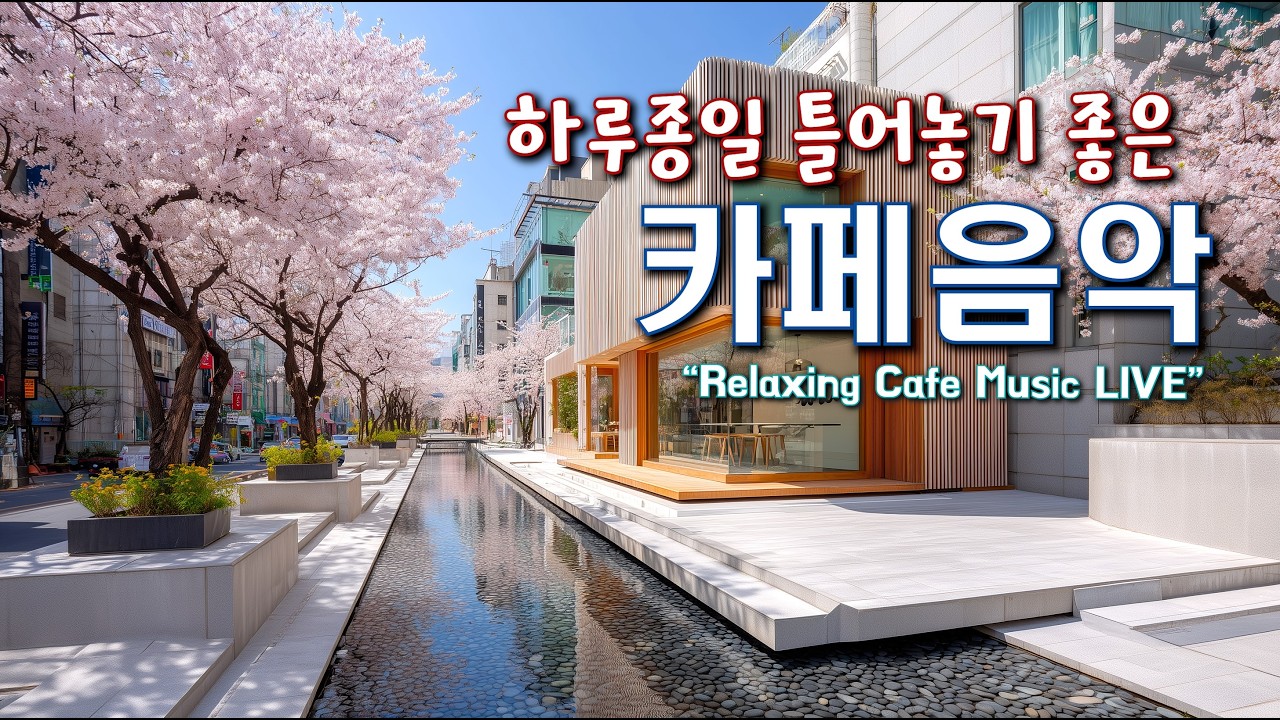 카페에서 듣기 좋은 음악과 하루를 함께 하세요 ☕(중간광고없음) 일할때 듣기 좋은 음악 🎧아침에 듣기 좋은 음악 | Relaxing Cafe Music Playlist 260220