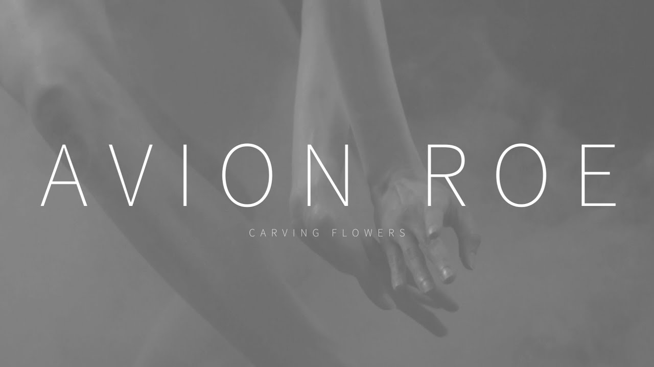 Avion Roe - 