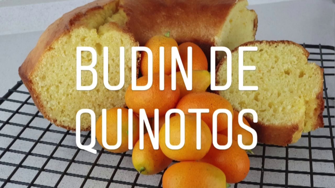 BUDIN DE QUINOTOS