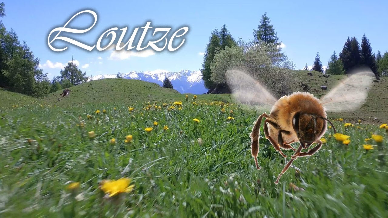 Switzerland - Loutze
