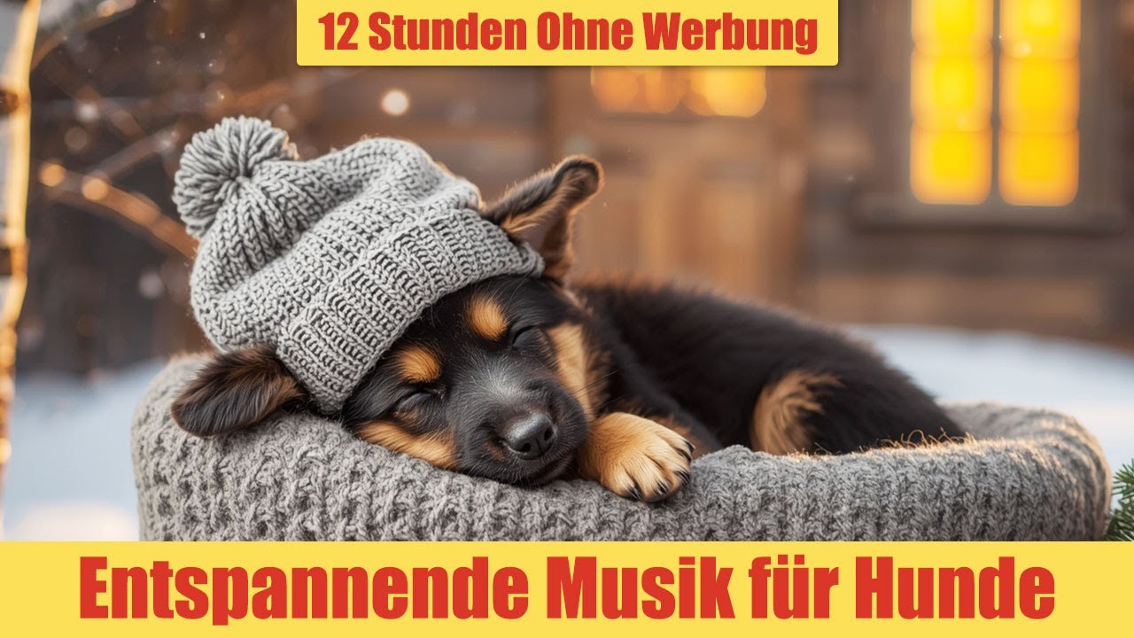 Schlafmusik für Hunde - 12 Stunden Ohne Werbung | Für Welpen & alte Hunde_vol.9