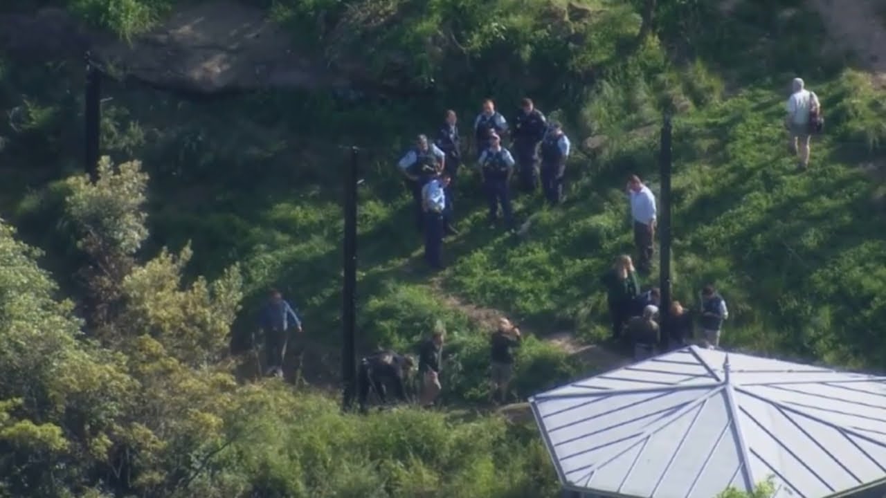&lsquo;Fence issue&rsquo; to blame for Taronga Zoo lion escape
