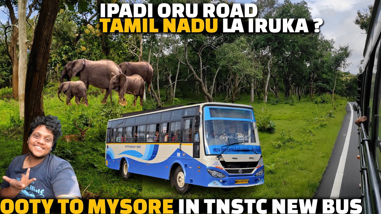 TNSTC New bus Ooty to Mysore journey in Deep forest | South India's most beautiful roads | Ooty EP 5