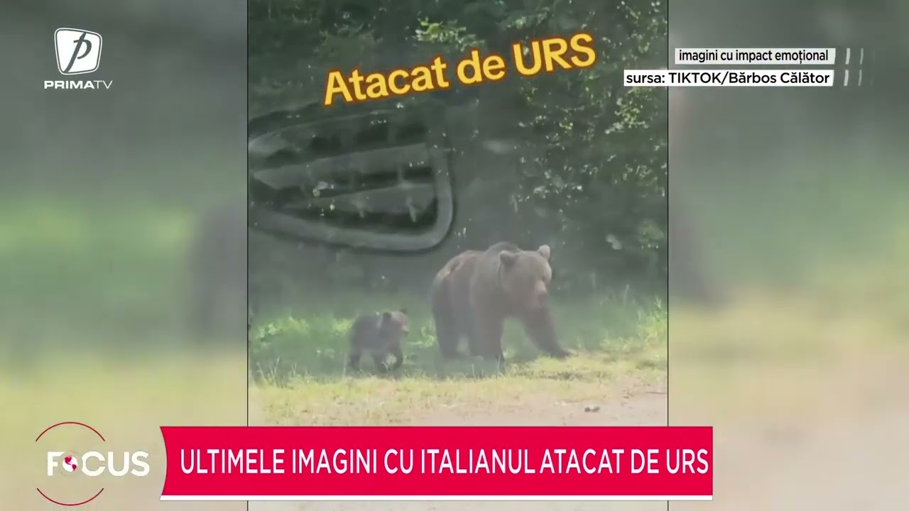 Au apărut imagini cu italianul ucis de ursoaică. Ce făcea cu doar câteva secunde înainte de atac